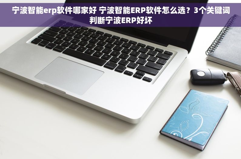 宁波智能erp软件哪家好 宁波智能ERP软件怎么选？3个关键词判断宁波ERP好坏