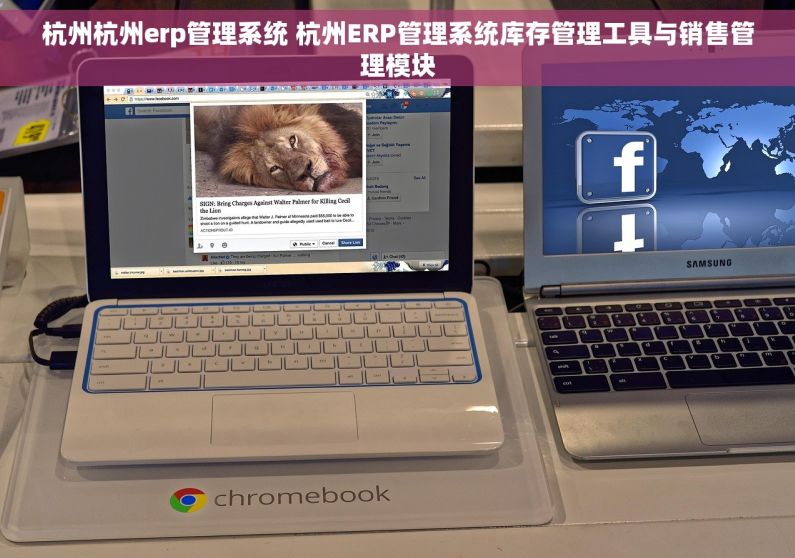杭州杭州erp管理系统 杭州ERP管理系统库存管理工具与销售管理模块 杭州杭州erp管理系统 杭州ERP管理系统库存管理工具与销售管理模块