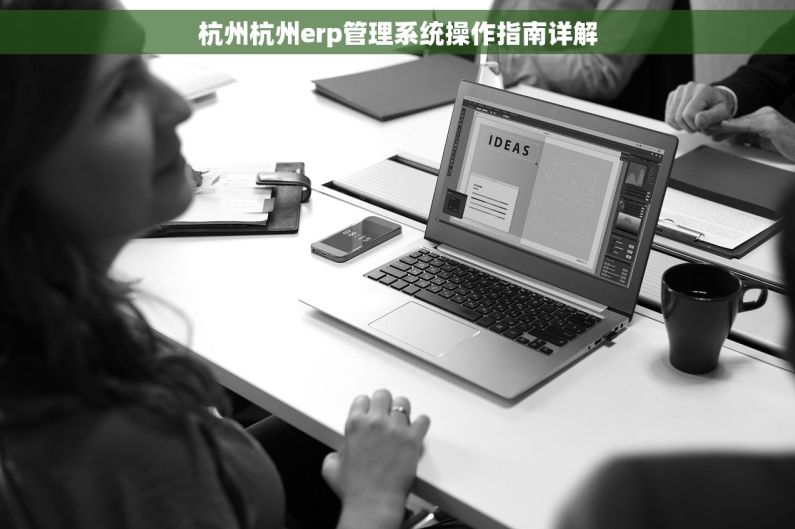 杭州杭州erp管理系统操作指南详解 杭州杭州erp管理系统操作指南详解