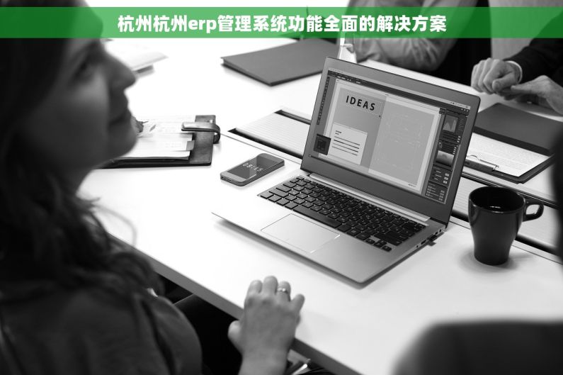 杭州杭州erp管理系统功能全面的解决方案 杭州杭州erp管理系统功能全面的解决方案