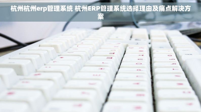 杭州杭州erp管理系统 杭州ERP管理系统选择理由及痛点解决方案