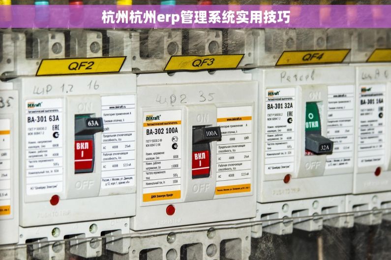 杭州杭州erp管理系统实用技巧 杭州杭州erp管理系统实用技巧