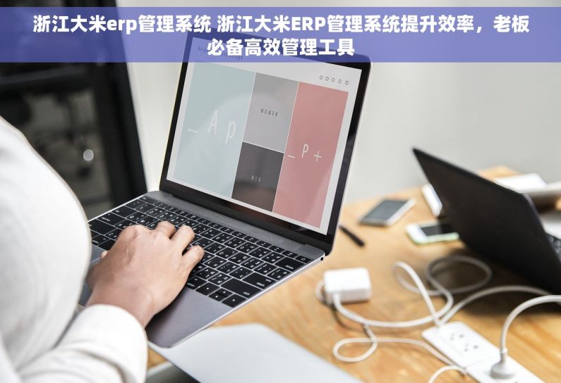 浙江大米erp管理系统 浙江大米ERP管理系统提升效率，老板必备高效管理工具