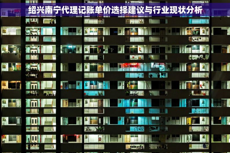 绍兴南宁代理记账单价选择建议与行业现状分析 绍兴南宁代理记账单价选择建议与行业现状分析