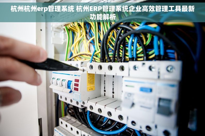 杭州杭州erp管理系统 杭州ERP管理系统企业高效管理工具最新功能解析 杭州杭州erp管理系统 杭州ERP管理系统企业高效管理工具最新功能解析