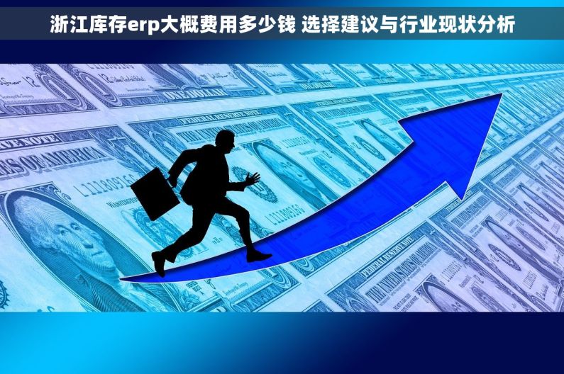 浙江库存erp大概费用多少钱 选择建议与行业现状分析