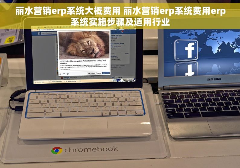 丽水营销erp系统大概费用 丽水营销erp系统费用erp系统实施步骤及适用行业