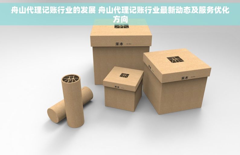 舟山代理记账行业的发展 舟山代理记账行业最新动态及服务优化方向 舟山代理记账行业的发展 舟山代理记账行业最新动态及服务优化方向