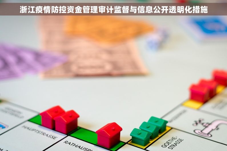 浙江疫情防控资金管理审计监督与信息公开透明化措施 浙江疫情防控资金管理审计监督与信息公开透明化措施