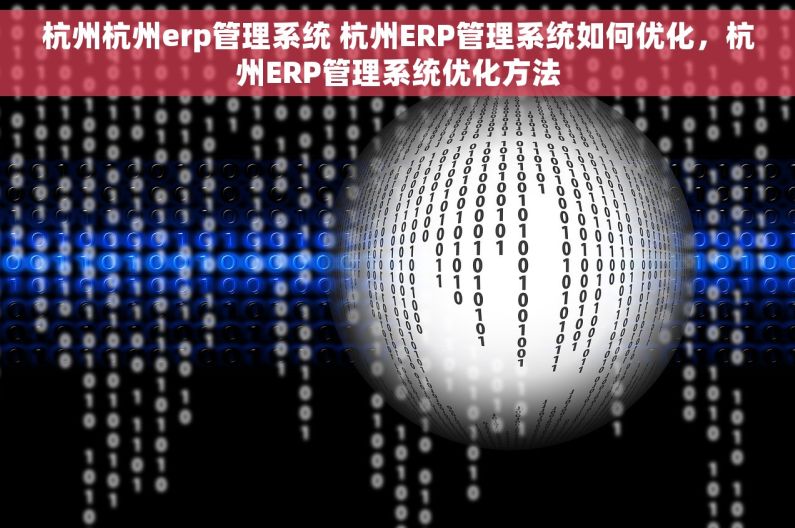 杭州杭州erp管理系统 杭州ERP管理系统如何优化，杭州ERP管理系统优化方法