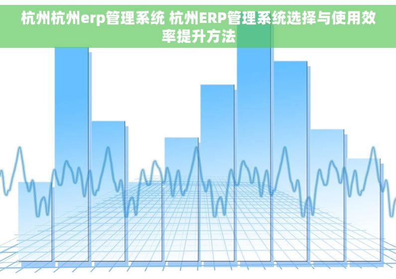 杭州杭州erp管理系统 杭州ERP管理系统选择与使用效率提升方法 杭州杭州erp管理系统 杭州ERP管理系统选择与使用效率提升方法