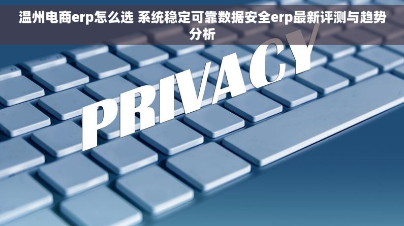 温州电商erp怎么选 系统稳定可靠数据安全erp最新评测与趋势分析 温州电商erp怎么选 系统稳定可靠数据安全erp最新评测与趋势分析