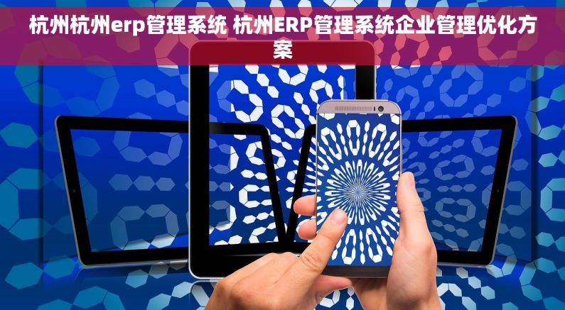 杭州杭州erp管理系统 杭州ERP管理系统企业管理优化方案