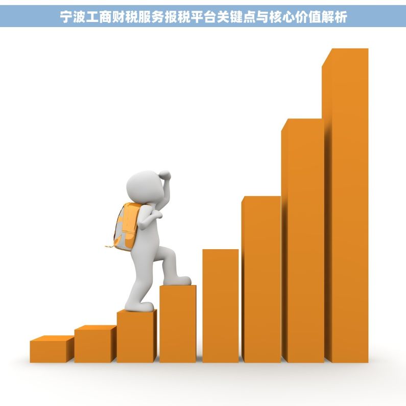 宁波工商财税服务报税平台关键点与核心价值解析 宁波工商财税服务报税平台关键点与核心价值解析