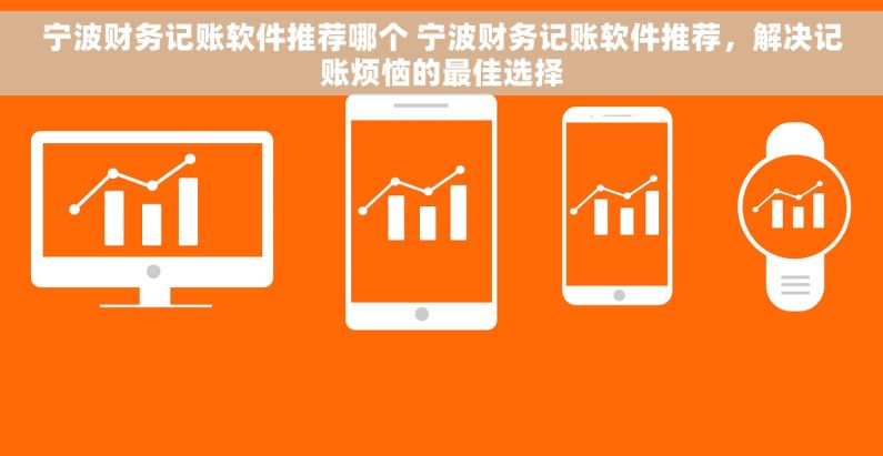 宁波财务记账软件推荐哪个 宁波财务记账软件推荐，解决记账烦恼的最佳选择