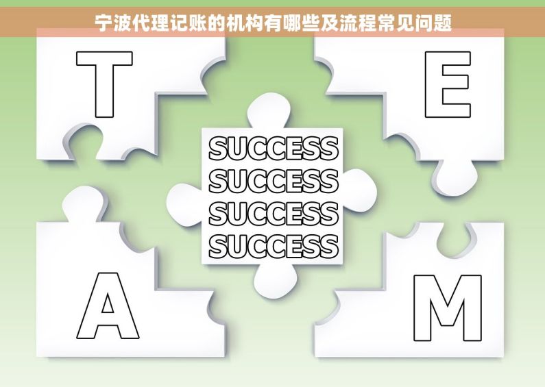 宁波代理记账的机构有哪些及流程常见问题 宁波代理记账的机构有哪些及流程常见问题