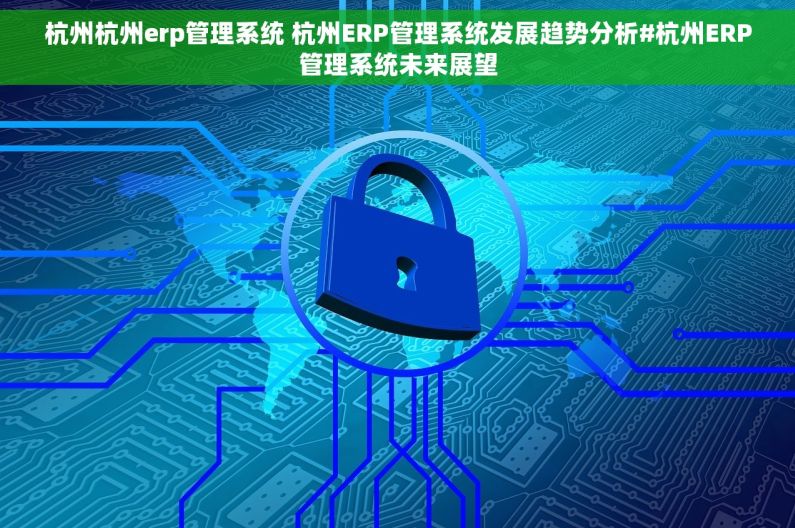 杭州杭州erp管理系统 杭州ERP管理系统发展趋势分析#杭州ERP管理系统未来展望