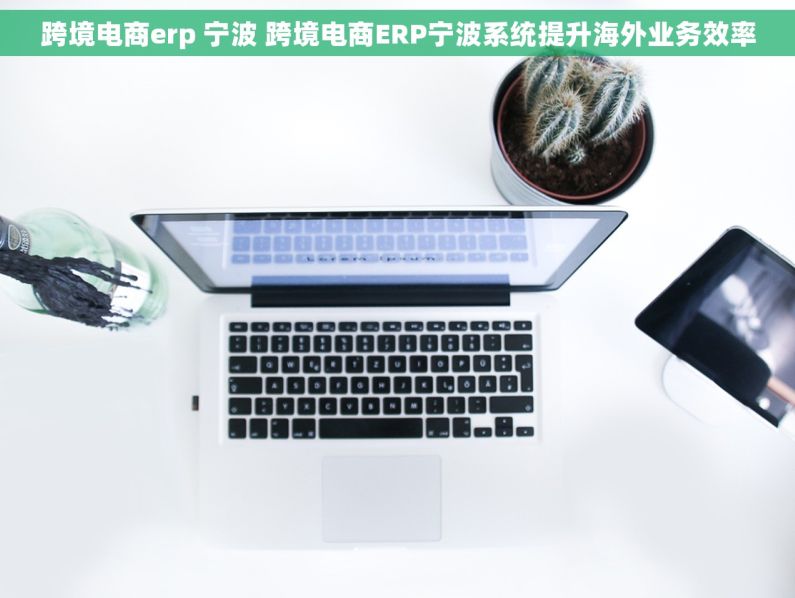 跨境电商erp 宁波 跨境电商ERP宁波系统提升海外业务效率 跨境电商erp 宁波 跨境电商ERP宁波系统提升海外业务效率