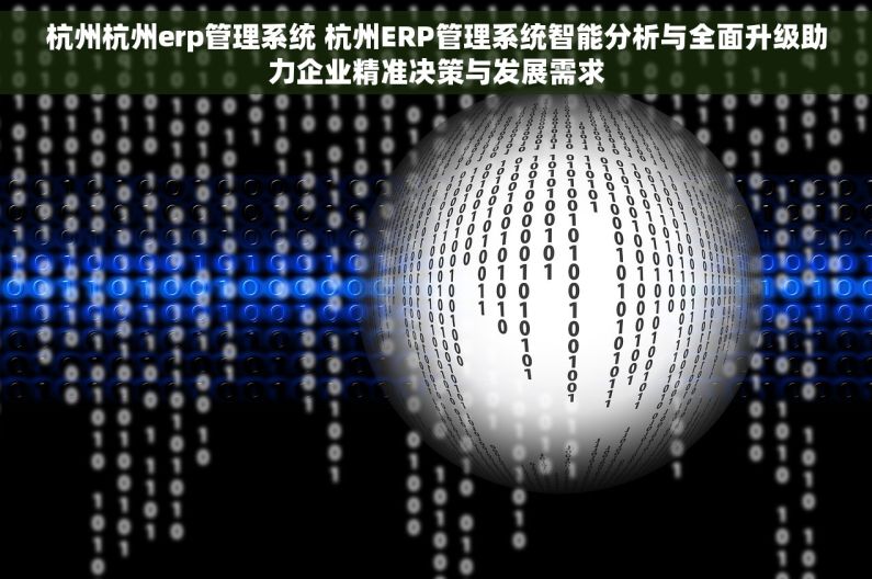 杭州杭州erp管理系统 杭州ERP管理系统智能分析与全面升级助力企业精准决策与发展需求 杭州杭州erp管理系统 杭州ERP管理系统智能分析与全面升级助力企业精准决策与发展需求