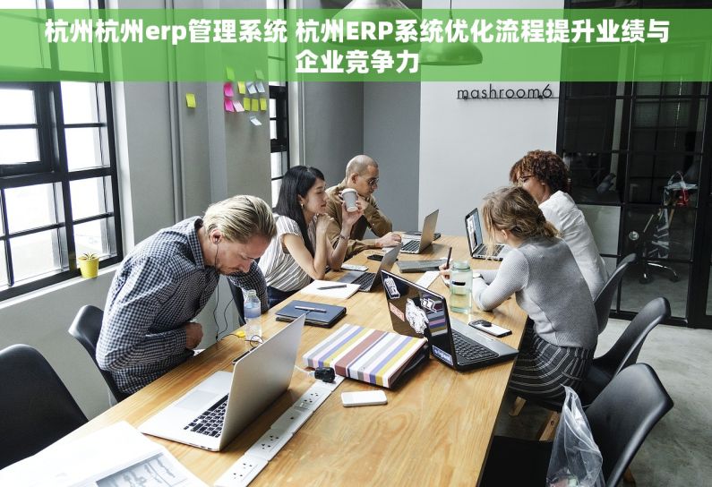 杭州杭州erp管理系统 杭州ERP系统优化流程提升业绩与企业竞争力 杭州杭州erp管理系统 杭州ERP系统优化流程提升业绩与企业竞争力