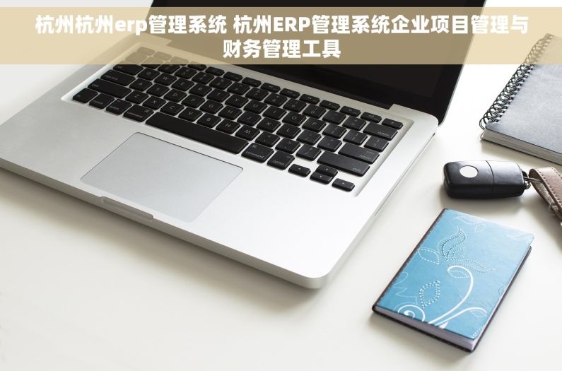 杭州杭州erp管理系统 杭州ERP管理系统企业项目管理与财务管理工具 杭州杭州erp管理系统 杭州ERP管理系统企业项目管理与财务管理工具
