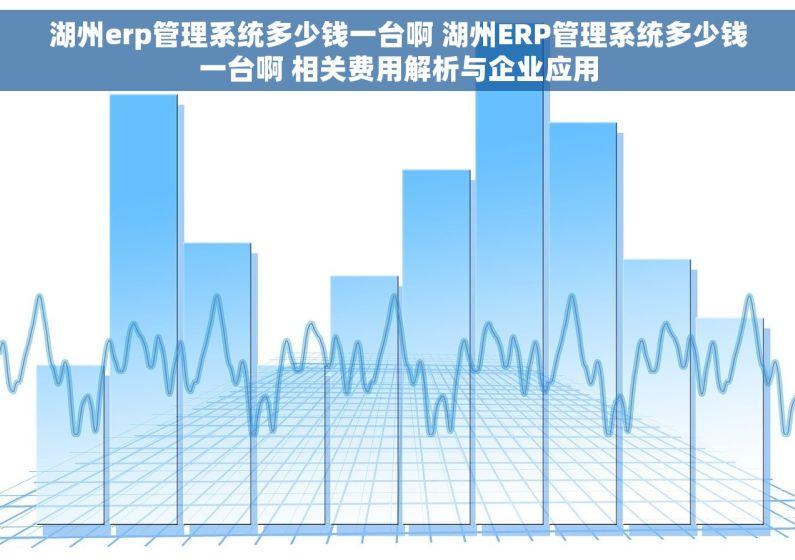 湖州erp管理系统多少钱一台啊 湖州ERP管理系统多少钱一台啊 相关费用解析与企业应用 湖州erp管理系统多少钱一台啊 湖州ERP管理系统多少钱一台啊 相关费用解析与企业应用