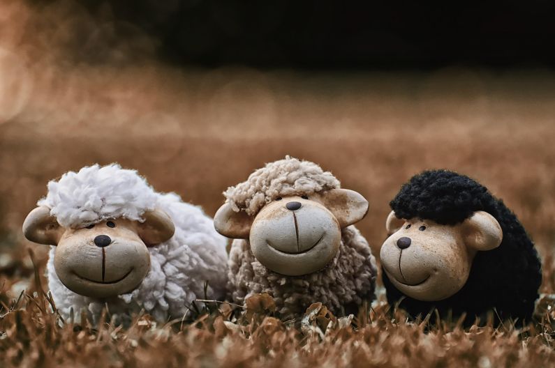 杭州杭州erp管理系统 杭州ERP管理系统最新动态及核心功能解析 杭州杭州erp管理系统 杭州ERP管理系统最新动态及核心功能解析