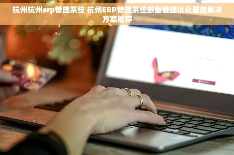 杭州杭州erp管理系统 杭州ERP管理系统数据管理优化最新解决方案推荐