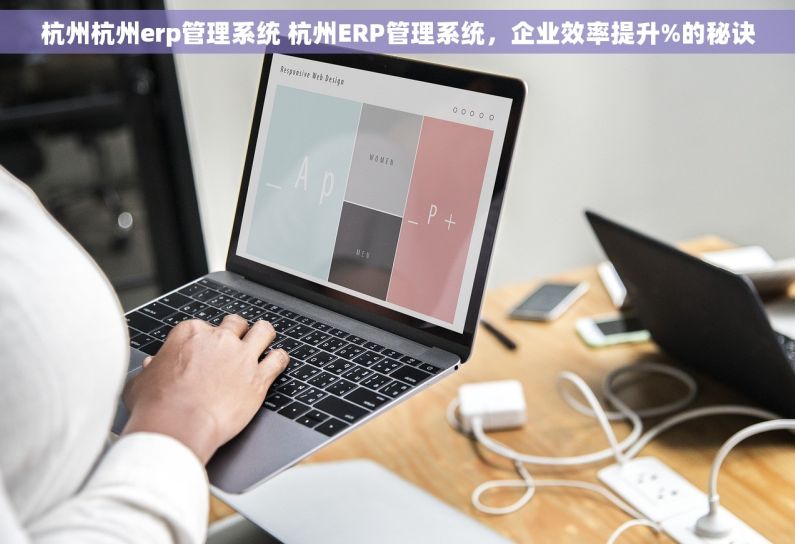 杭州杭州erp管理系统 杭州ERP管理系统，企业效率提升%的秘诀