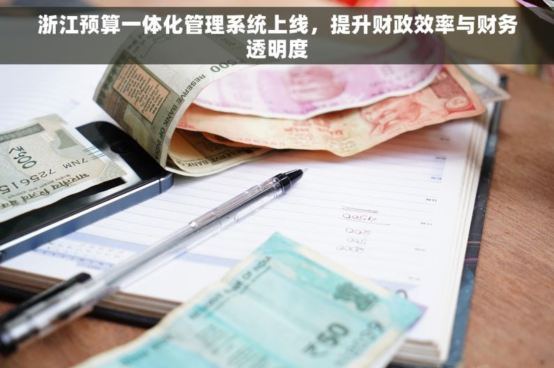 浙江预算一体化管理系统上线，提升财政效率与财务透明度