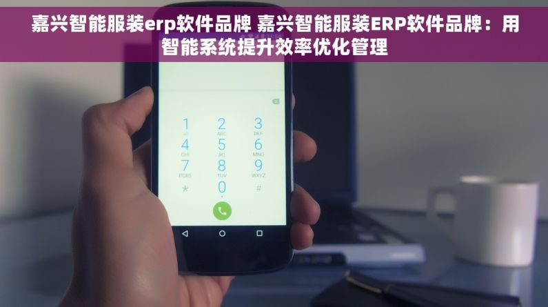 嘉兴智能服装erp软件品牌 嘉兴智能服装ERP软件品牌：用智能系统提升效率优化管理