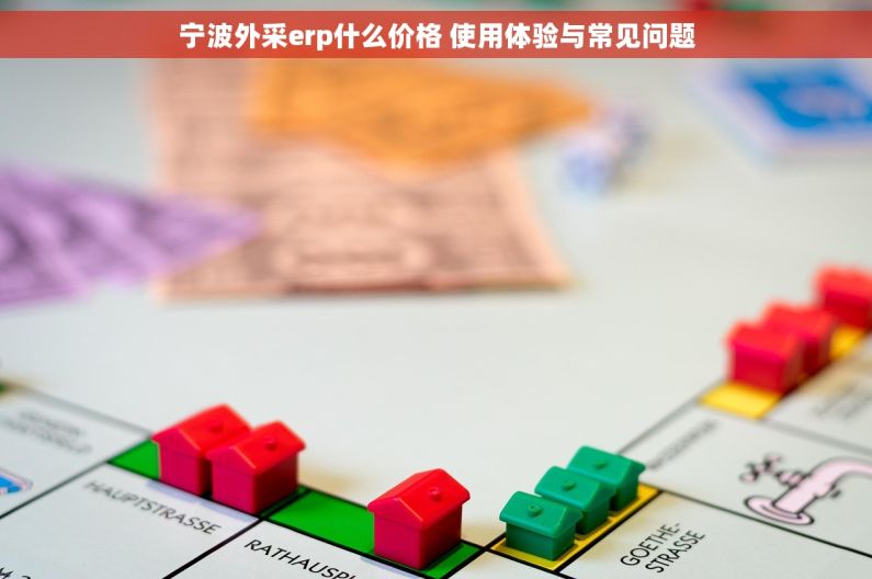 宁波外采erp什么价格 使用体验与常见问题