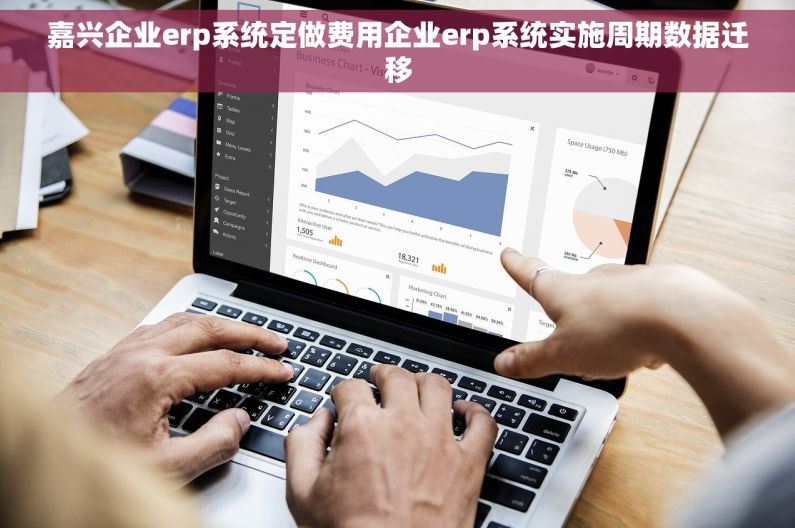 嘉兴企业erp系统定做费用企业erp系统实施周期数据迁移 嘉兴企业erp系统定做费用企业erp系统实施周期数据迁移