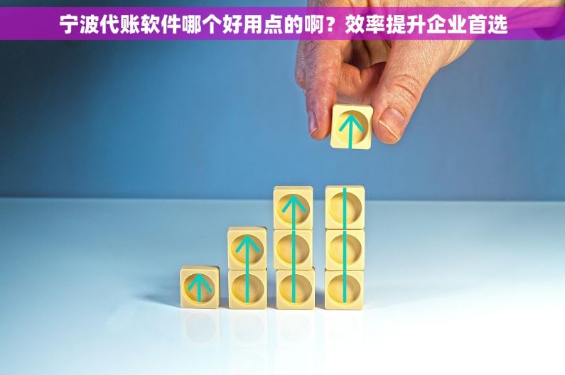 宁波代账软件哪个好用点的啊？效率提升企业首选