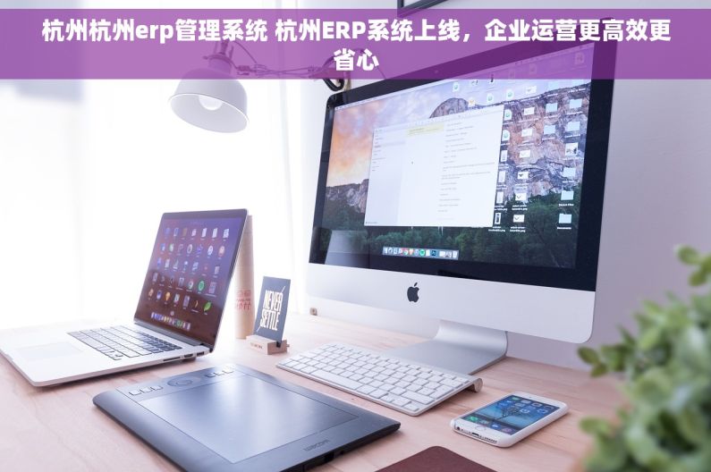 杭州杭州erp管理系统 杭州ERP系统上线，企业运营更高效更省心
