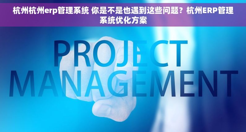 杭州杭州erp管理系统 你是不是也遇到这些问题？杭州ERP管理系统优化方案