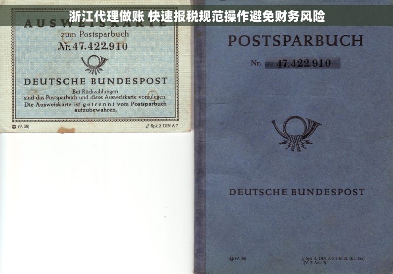 浙江代理做账 快速报税规范操作避免财务风险 浙江代理做账 快速报税规范操作避免财务风险