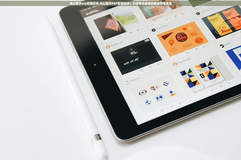 舟山医药erp管理软件 舟山医药ERP管理软件：小诊所也能用的精准管理系统