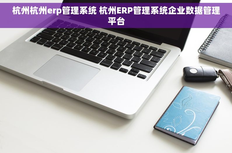 杭州杭州erp管理系统 杭州ERP管理系统企业数据管理平台