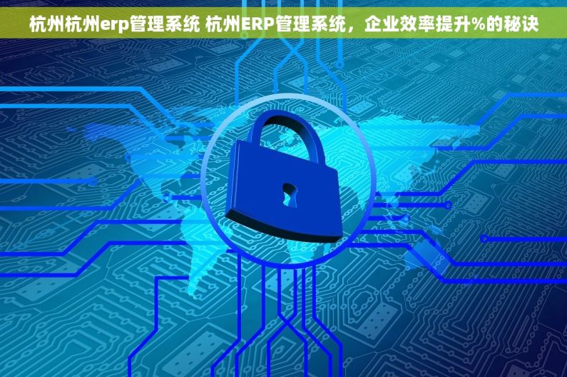 杭州杭州erp管理系统 杭州ERP管理系统，企业效率提升%的秘诀