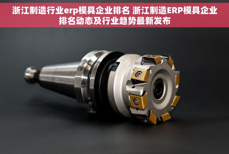 浙江制造行业erp模具企业排名 浙江制造ERP模具企业排名动态及行业趋势最新发布 浙江制造行业erp模具企业排名 浙江制造ERP模具企业排名动态及行业趋势最新发布