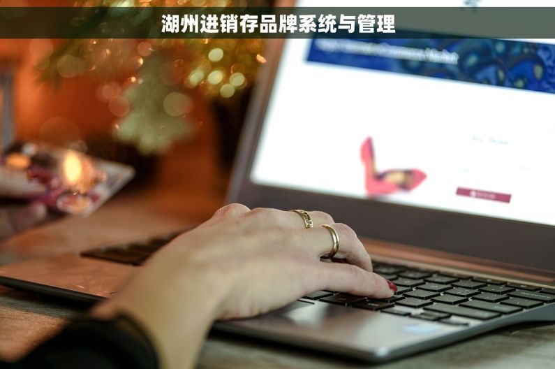 湖州进销存品牌系统与管理 湖州进销存品牌系统与管理