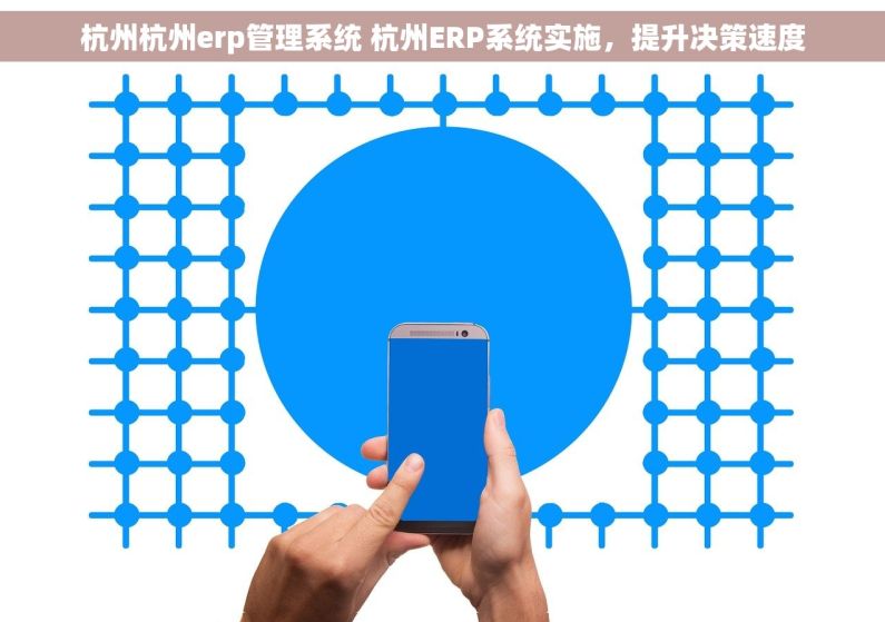 杭州杭州erp管理系统 杭州ERP系统实施,提升决策速度 杭州杭州erp管理系统 杭州ERP系统实施,提升决策速度