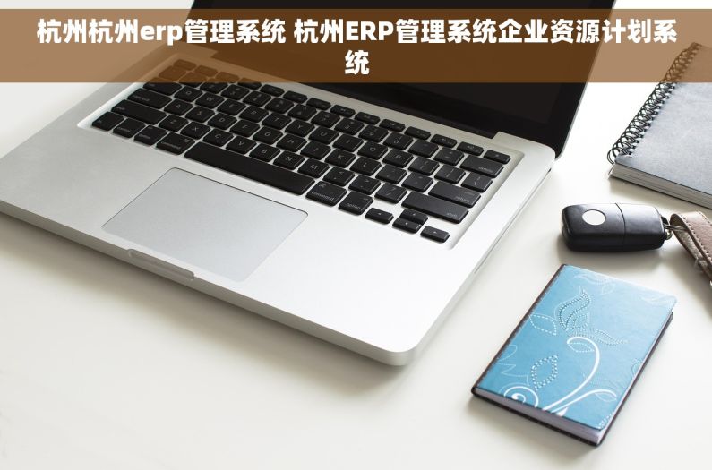 杭州杭州erp管理系统 杭州ERP管理系统企业资源计划系统