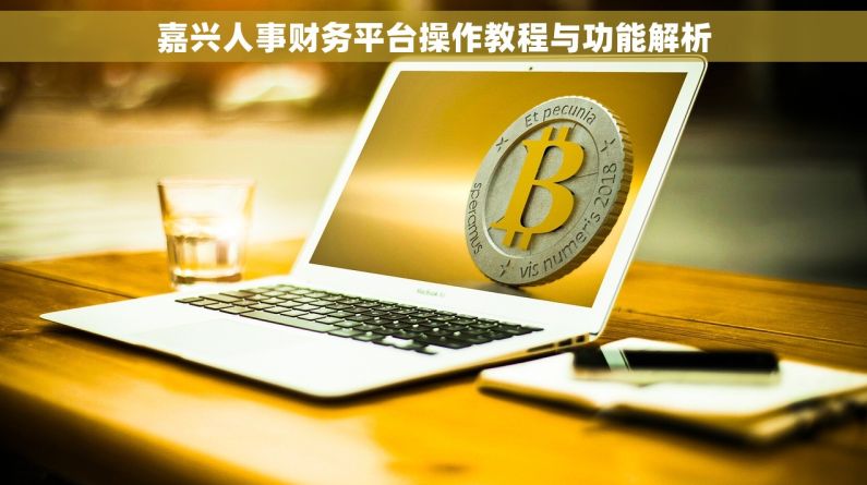 嘉兴人事财务平台操作教程与功能解析 嘉兴人事财务平台操作教程与功能解析