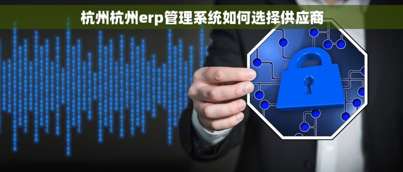 杭州杭州erp管理系统如何选择供应商 杭州杭州erp管理系统如何选择供应商