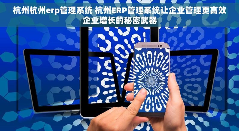 杭州杭州erp管理系统 杭州ERP管理系统让企业管理更高效企业增长的秘密武器