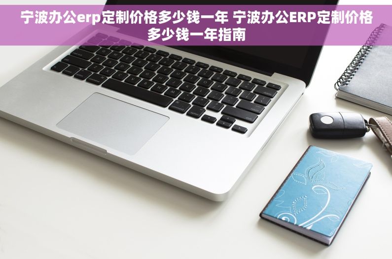 宁波办公erp定制价格多少钱一年 宁波办公ERP定制价格多少钱一年指南