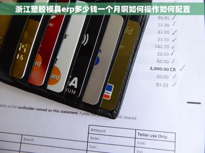 浙江塑胶模具erp多少钱一个月啊如何操作如何配置 浙江塑胶模具erp多少钱一个月啊如何操作如何配置