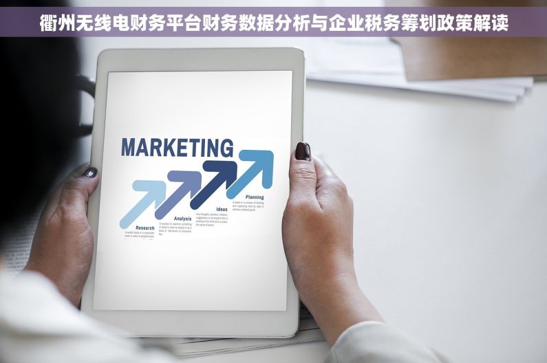 衢州无线电财务平台财务数据分析与企业税务筹划政策解读